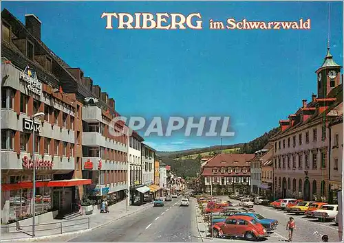 Cartes postales moderne Triberg im Schwarzwald