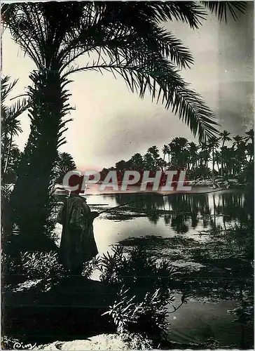 Cartes postales moderne Colletion Artistique (L'Afrique) La Riviere