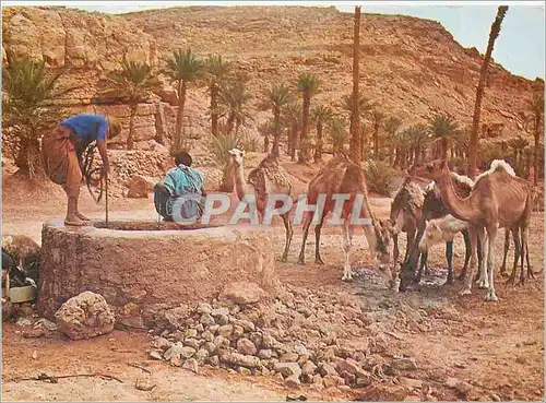 Cartes postales moderne Puits dans le Sud Saharien