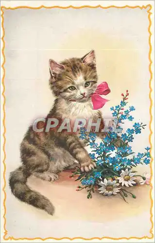 Moderne Karte Fantaisie Chat Chaton