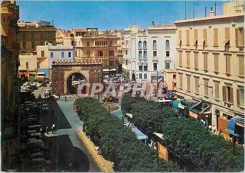 Cartes postales moderne Tunis Porte de France