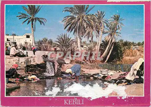 Cartes postales moderne Kebili