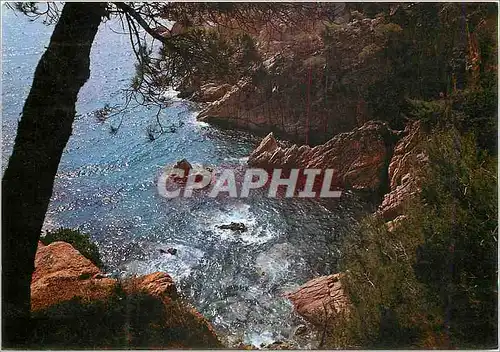 Cartes postales moderne Costa Brava San Feliu de Guixols Detail de sa Cote