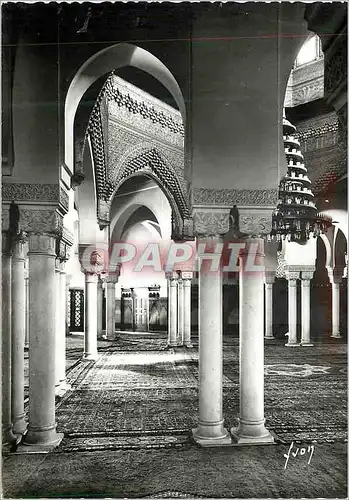 Cartes postales moderne Institut Musulman Mosquee de Paris Salle des Prieres