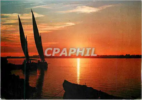 Cartes postales moderne Le Caire Coucher de Soleil sur le Nil Bateaux