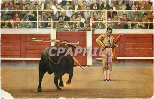 Cartes postales moderne Toros Excitant de Loin le Naturel Corrida