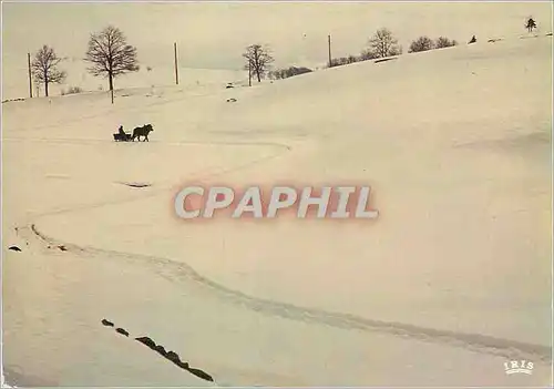 Cartes postales moderne Ambiance Hivernale Cheval Traineau