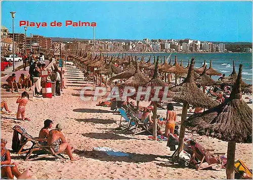 Cartes postales moderne Mallorca Playa de Palma