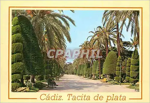 Cartes postales moderne Cadiz Parque de Genoves