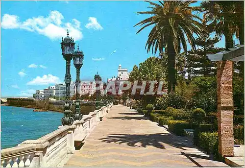 Cartes postales moderne Cadiz Alameda Marques de Comillas