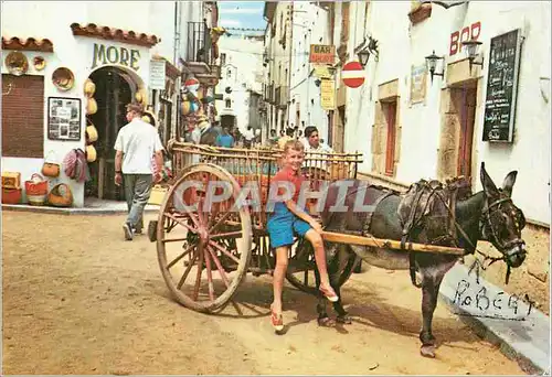 Moderne Karte Enfant Ane Donkey