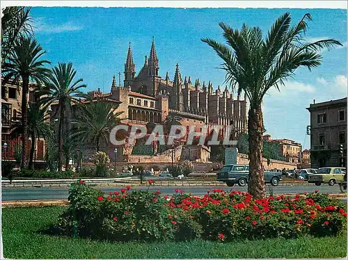Cartes postales moderne Palma de Mallorca Catedral y Palacio de la Almudaina