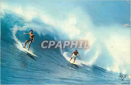 Cartes postales moderne Couleurs Naturelles Surf