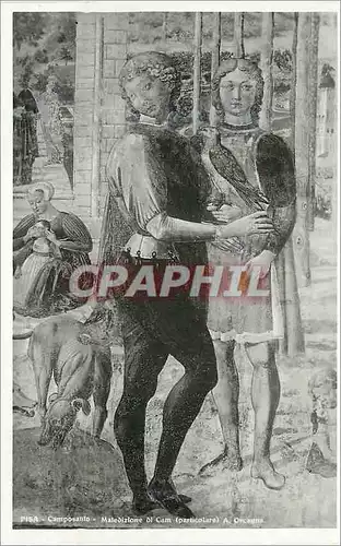 Cartes postales moderne Pisa Camposanto Maledizione di cam (particolare)