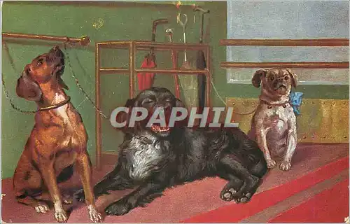 Cartes postales Trois Chiens