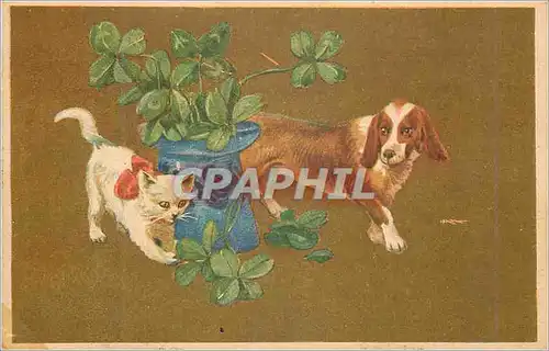 Moderne Karte Chat Chien Trefles