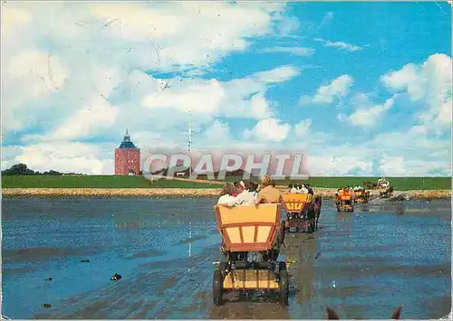 Cartes postales moderne Insel Neuwerk Ankunfl der Xattwagen von Duhnen und Sahlenburg