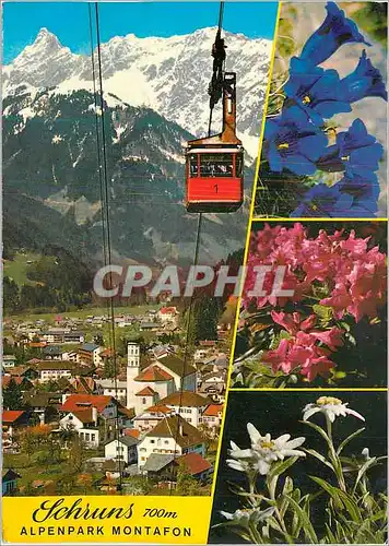 Cartes postales moderne Schruns 700m gegen Zimba 2645m Alpenpark Montafon