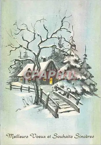Cartes postales moderne Meilleurs Voeux et Souhaits Sinceres