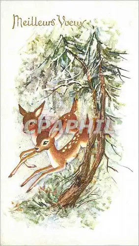 Moderne Karte Meilleurs Voeux