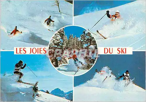 Cartes postales moderne Les Joies du Ski