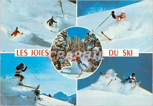 Moderne Karte Les Joies du Ski