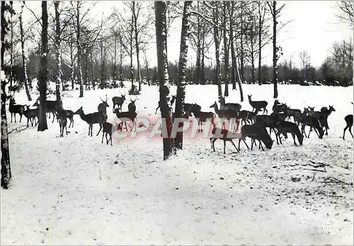 Moderne Karte Chasse du Bois Nassogne