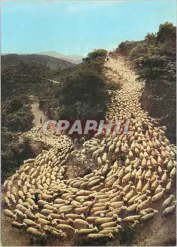 Moderne Karte Images de France la Transhumance