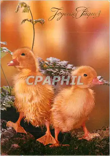 Cartes postales moderne Joyeuses Paques