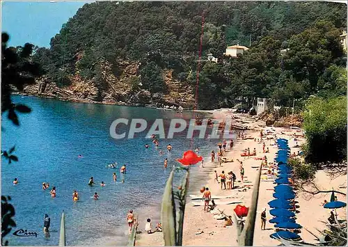 Cartes postales moderne Le Rayol (Var) Cote d'Azur France French Riviera la Plage