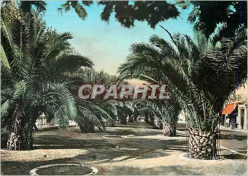 Moderne Karte Perpignan (P O) ses Palmiers