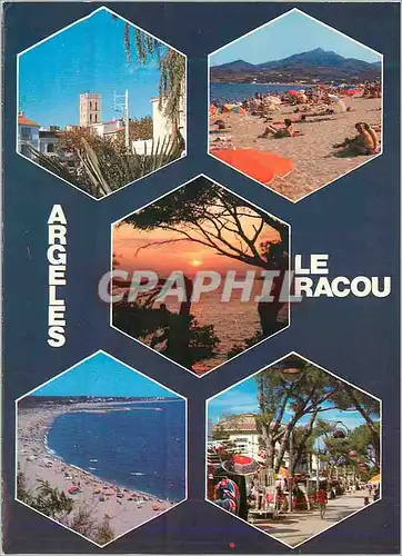 Cartes postales moderne Argeles sur Mer le Racou Souvenir