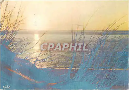 Cartes postales moderne Cote Atlantique Coucher de Soleil sur l'Ocean les Oyats