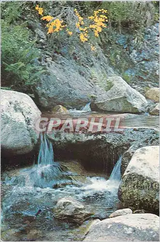 Cartes postales moderne Le Gardon (Gard) les Plans