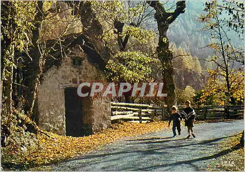 Cartes postales moderne Joie de Vivre