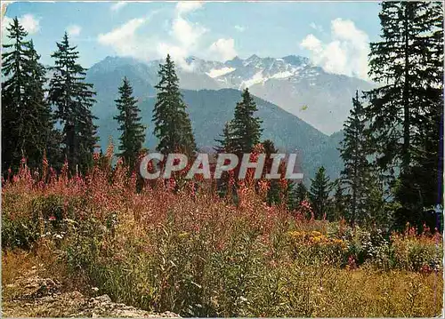Cartes postales moderne La Ferriere d'Allevard (Isere) le Massif du Gleyzin (alt 2697m)