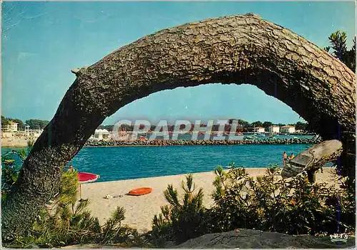 Cartes postales moderne Capbreton Hossegor (Landes) la Plage du Bourret
