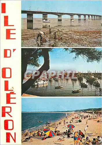 Cartes postales moderne Ile d'Oleron (Char Marit) de Haut en Bas le Nouveau Pont de l'Ile d'Oleron au Continent