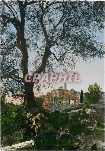 Cartes postales moderne Saint Paul de Vence un Coin du Vieux Village
