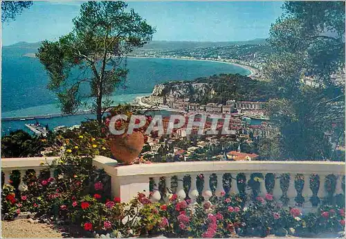 Cartes postales moderne Nice Vue Generale