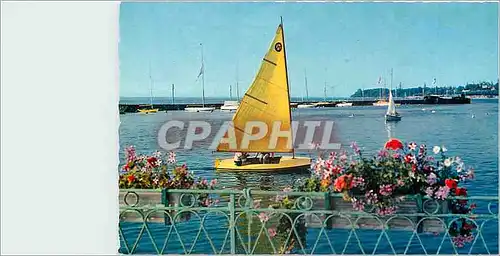Cartes postales moderne Regates Bateaux