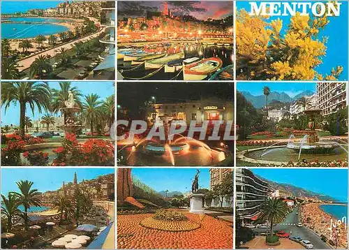 Cartes postales moderne Menton (Alpes Maritimes) la Cote d'Azur Vue Generale le Port la Nuit Mimosas