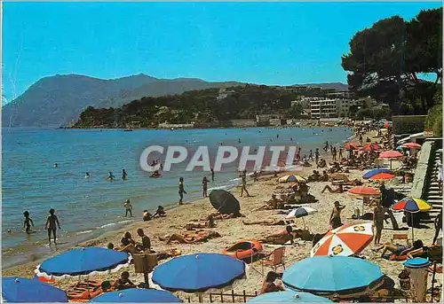 Cartes postales moderne La Seyne sur Mer Mar Vivo