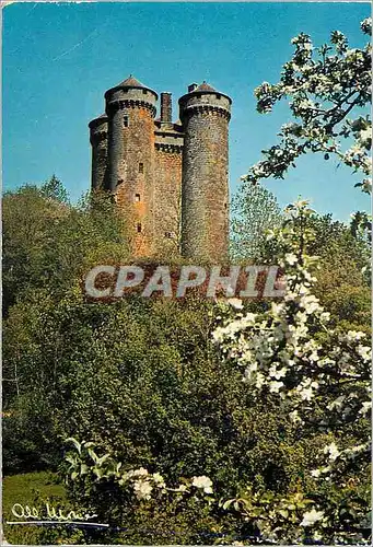 Cartes postales moderne Ch�teau Cantal