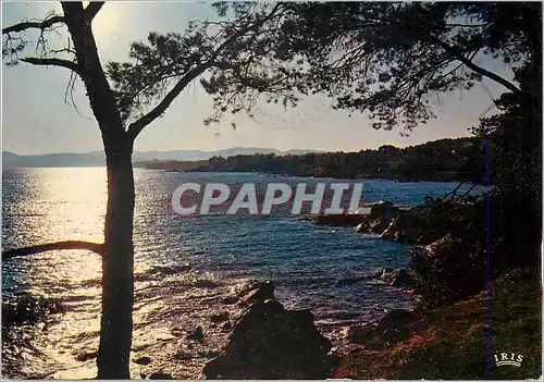 Cartes postales moderne Contre Jour sur la Grande Bleue Reflets de la Cote d'Azur