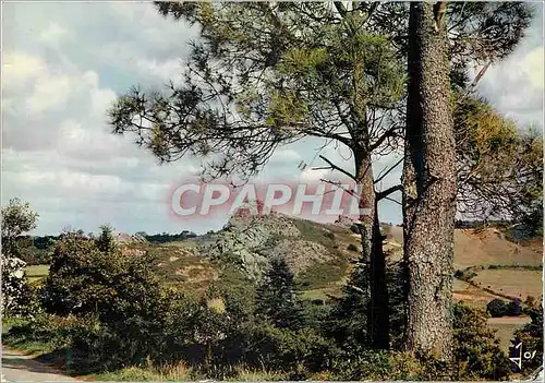 Cartes postales moderne Les Montagnes Noires (en Cornouaille) la Bretagne en Couleurs entre Laz et Chateauneuf du Faou