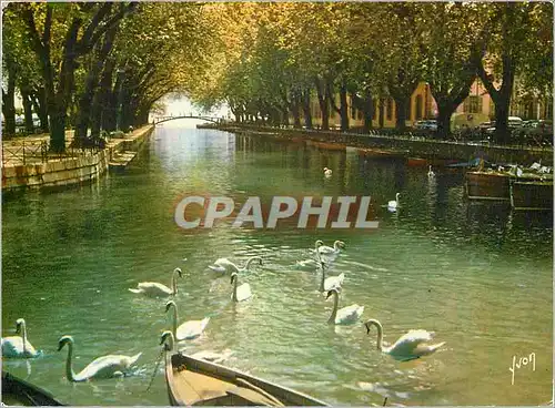 Cartes postales moderne Annecy (Haute Savoie) le Canal et le Pont des Amours Couleurs et Lumiere de France Cygnes