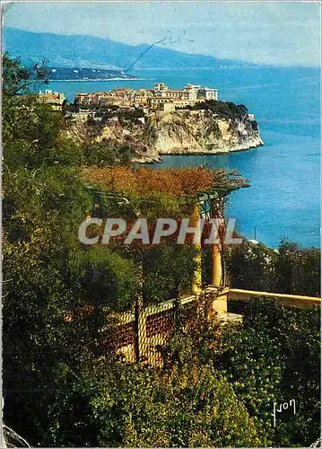 Cartes postales moderne Principaute de Monaco la Cote d'Azur Miracle de la Nature Couleurs et Lumiere de France