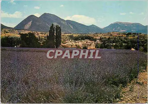 Cartes postales moderne Paysages de Provence Champs de Lavande a Dieulefit