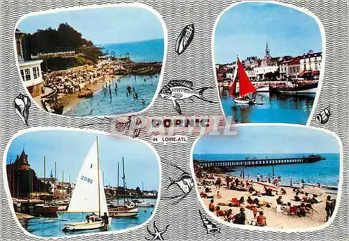 Cartes postales moderne Pornic (Loire Atl) Bateaux de peche